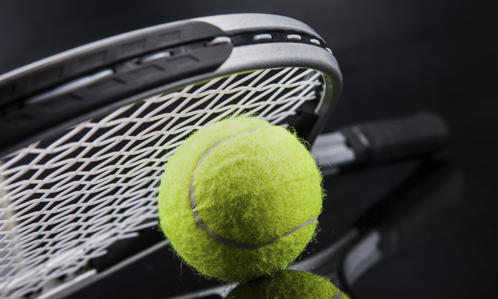 Wilson Tour Slam Adult Strung tennis Racket