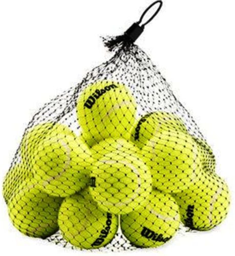 Wilson Pressureless Tennis Balls